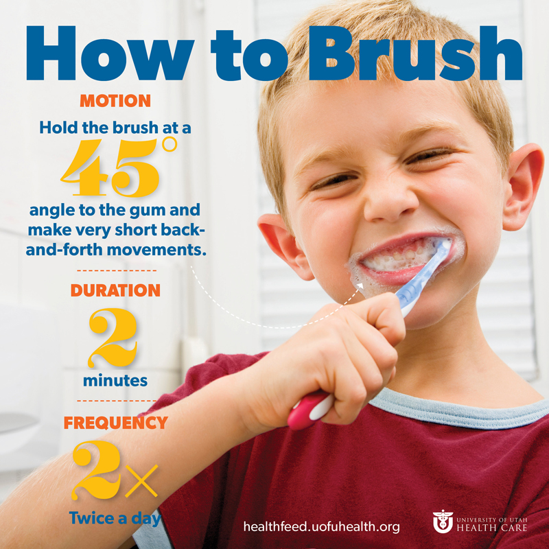 Factoid Teeth Brushing