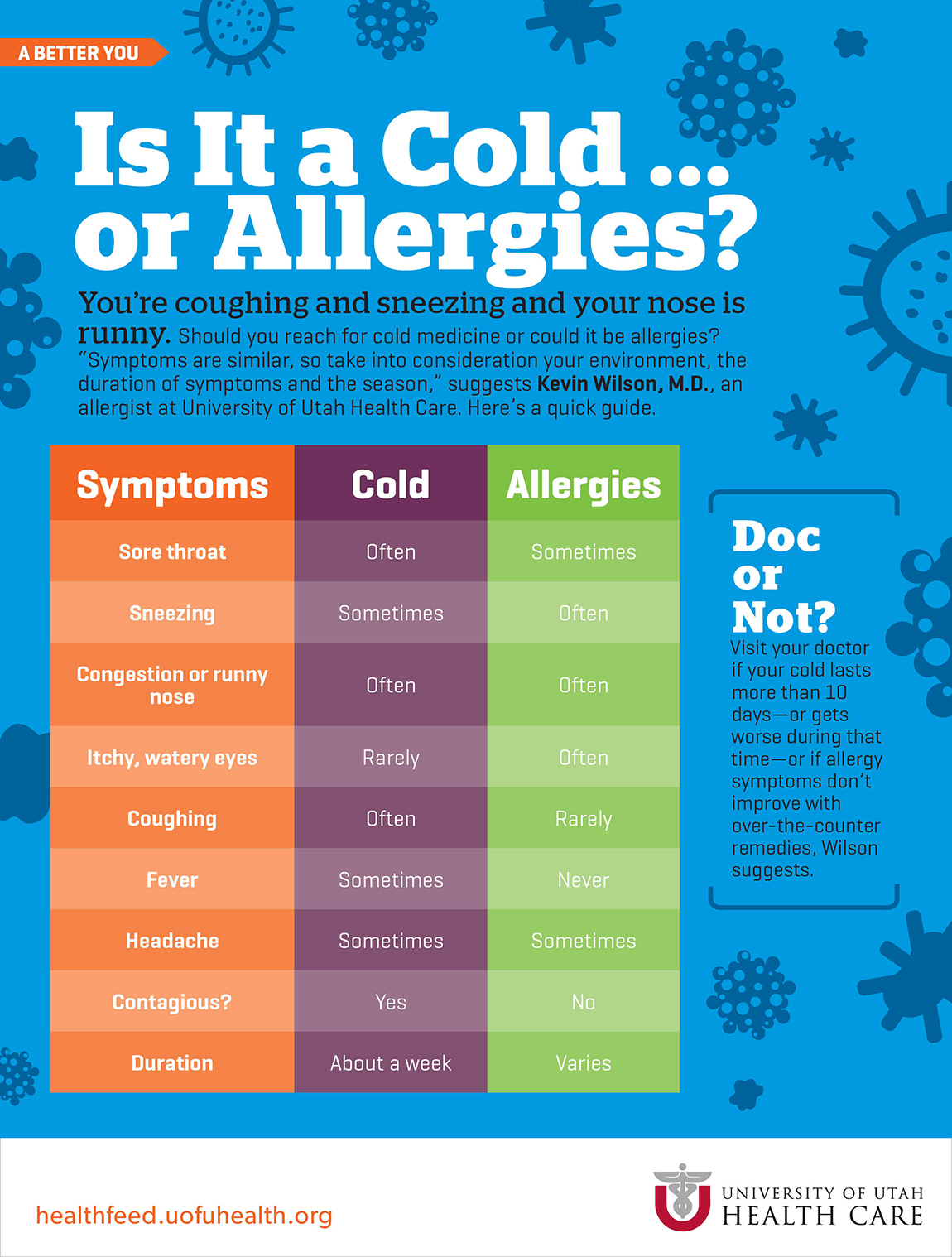 Cold Allergies Infographic