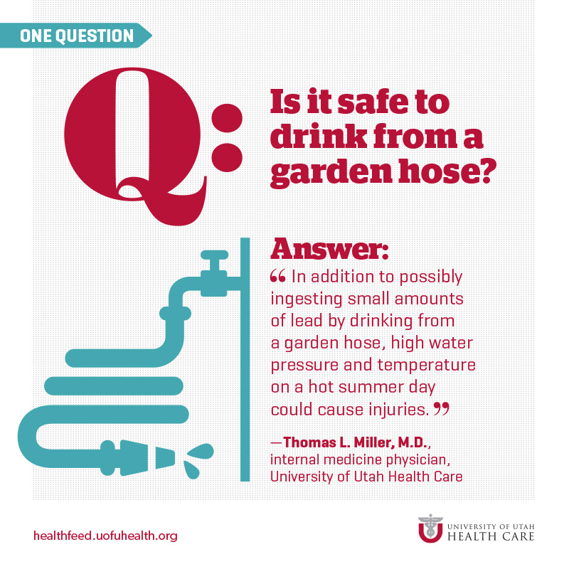 Drinking From Hose Infographic