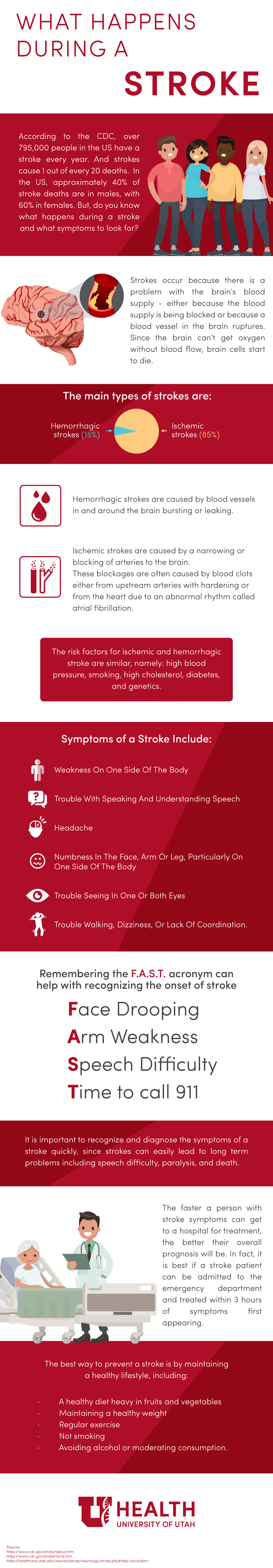 Stroke Facts Infographic