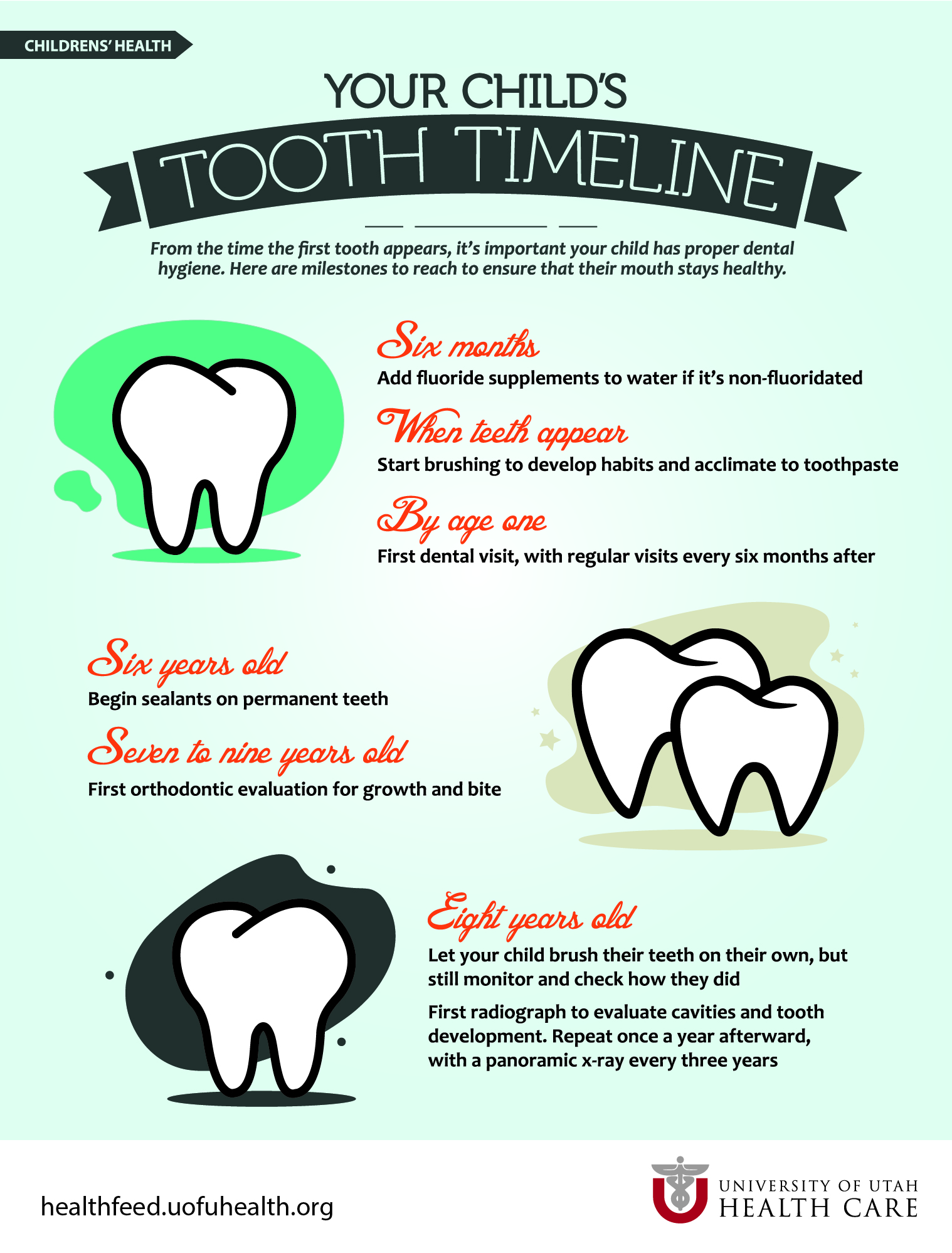Tooth Timeline Infographic
