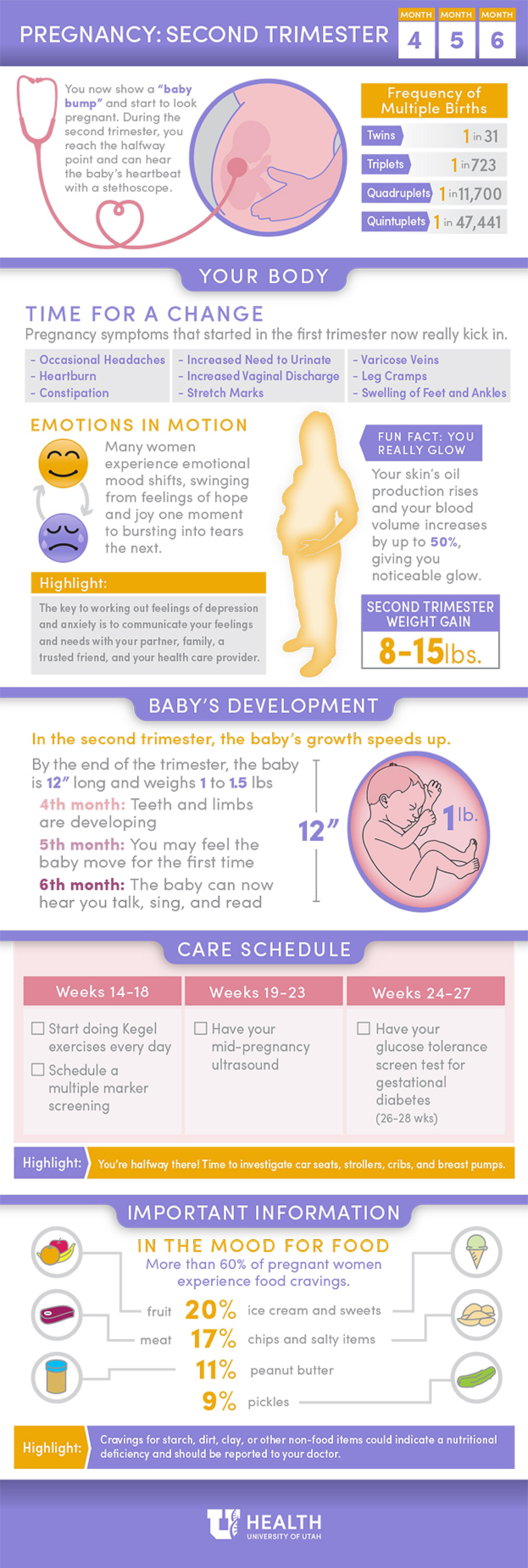 Women's Health Pregnancy 2nd Trimester Infographic