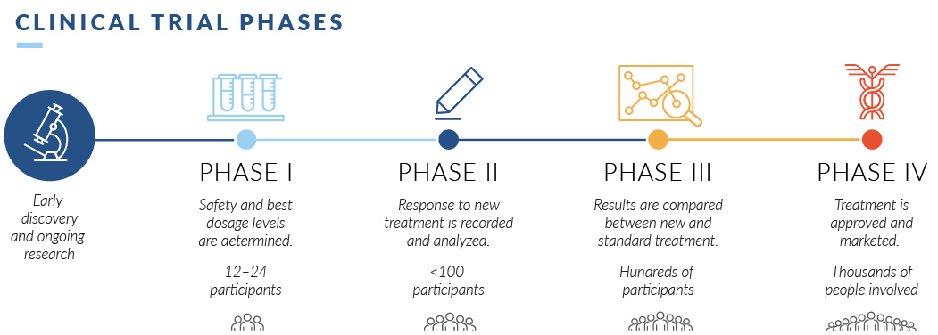 Timeline of the phases of clinical trials