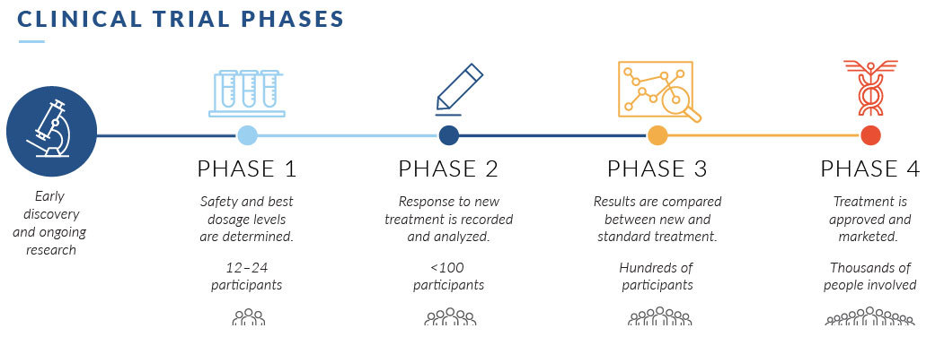 Timeline of the phases of clinical trials