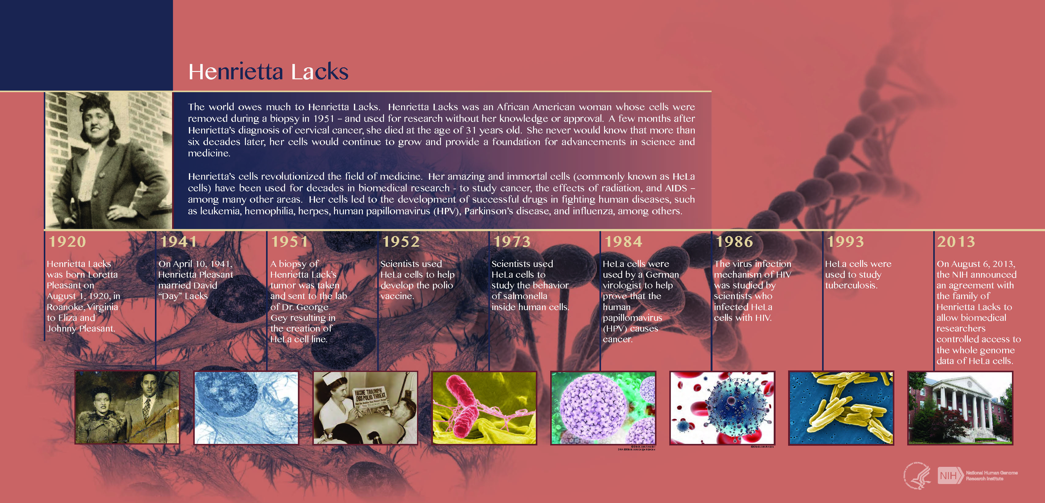 Ethics, Racism, and Scientific Discovery: The Immortal Life of 