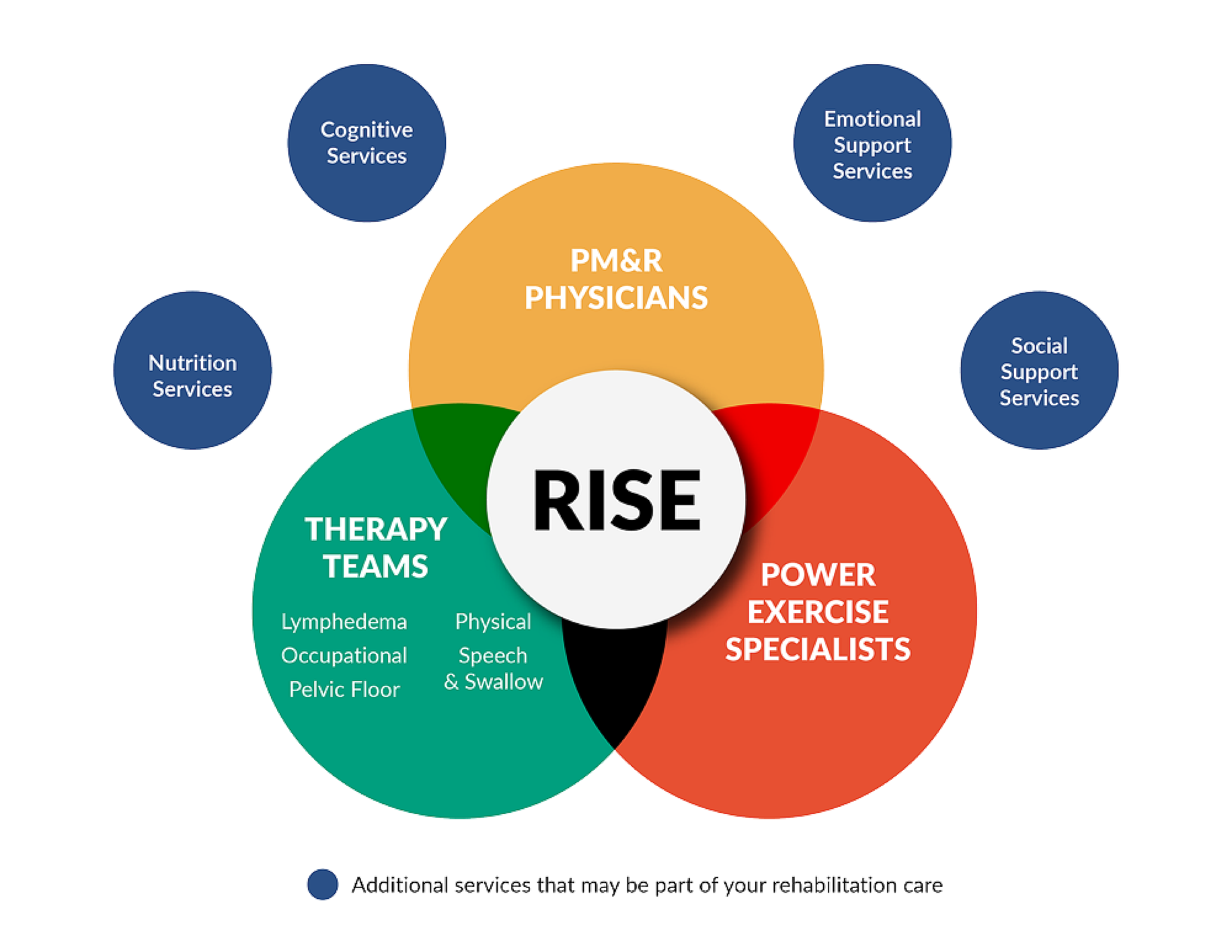 Diagram of the different teams in the cancer rehabilitation program