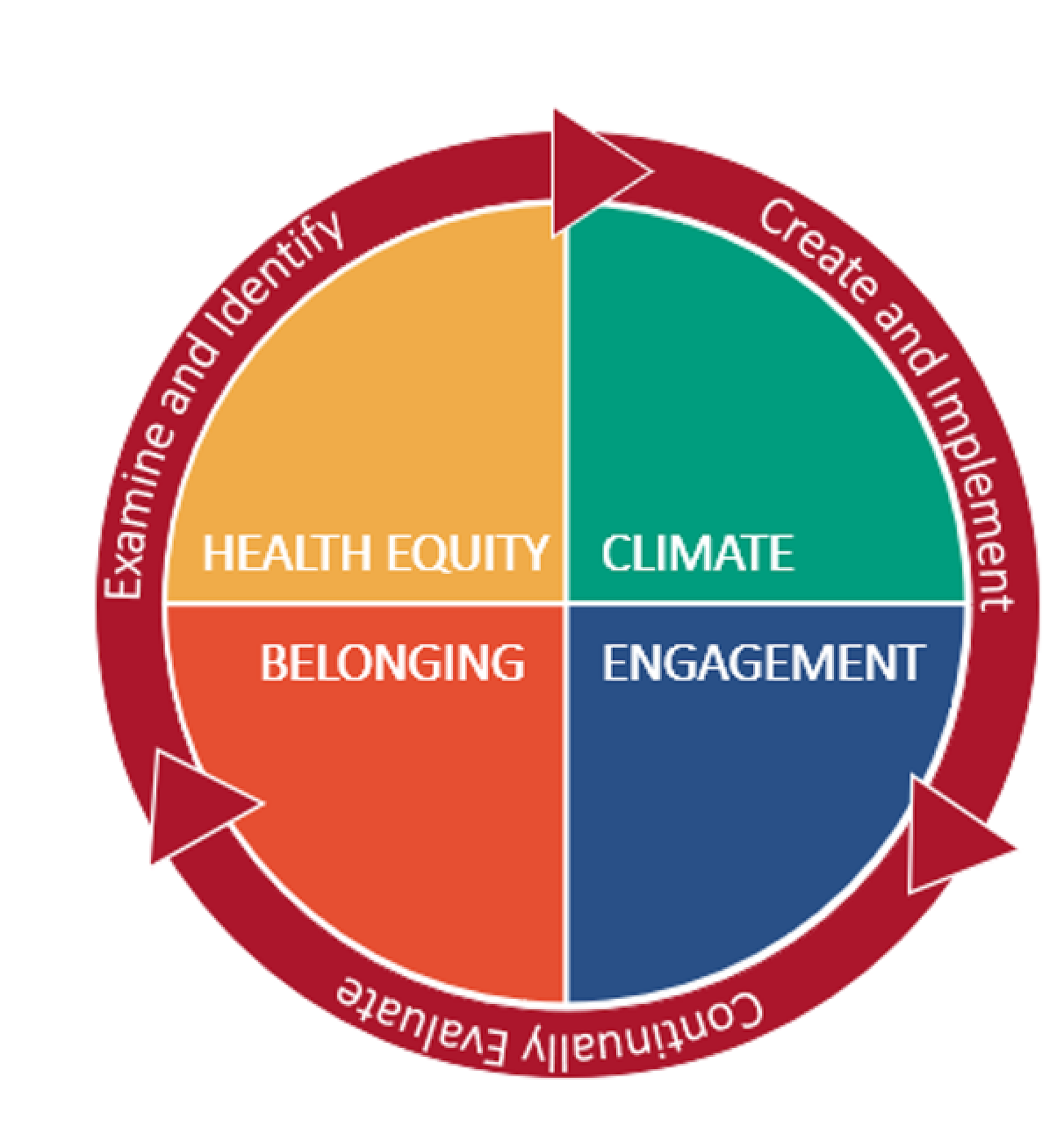 Circle split into four parts with the words Health Equity, Climate, Engagement, and Belonging; around the circle is a ring of arrows reading Create and Implement, Continually Elevate, and Examine and Identify