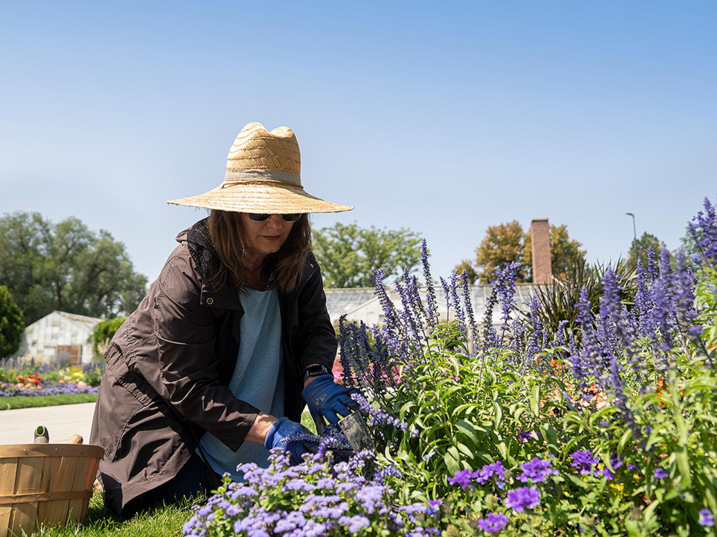 Woman wearing a large sun hat while working in her garden