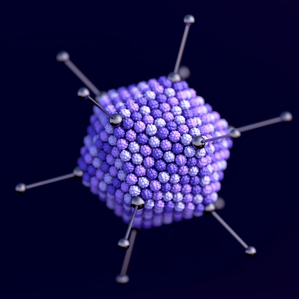 Artist’s depiction of an adenovirus, which can cause cold- and flu-like symptoms.