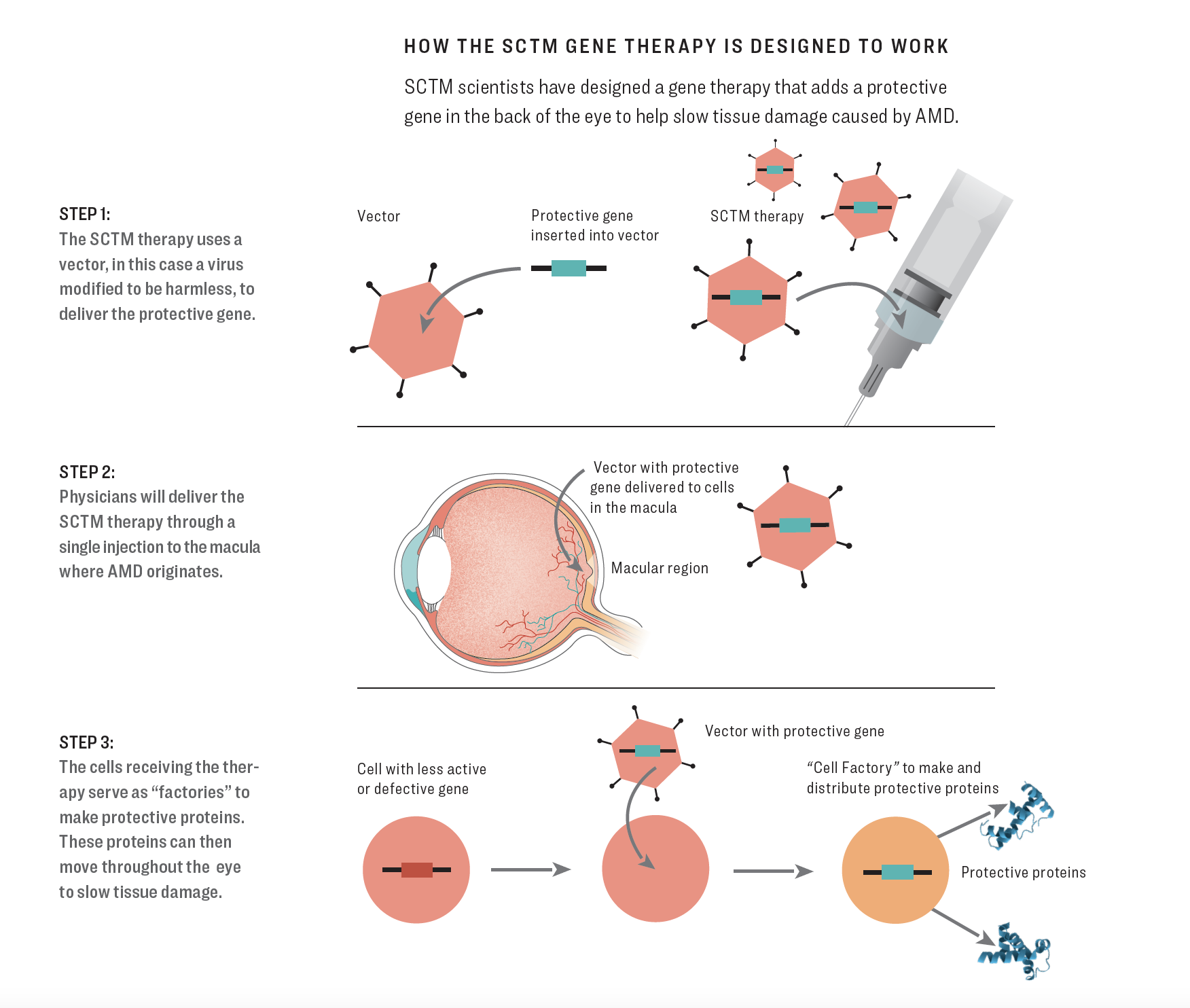 SCTM Gene Therapy graphic