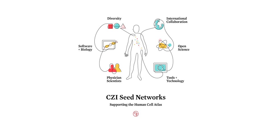 The Chan Zuckerberg Initiative (CZI) recently announced $68 million in funding for 38 collaborative science teams to support the development of the Human Cell Atlas.