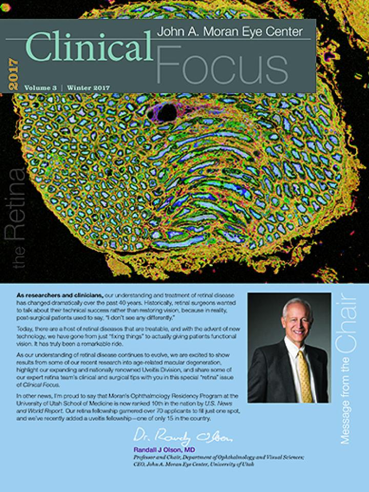 2017 Clinical Focus: The Retina