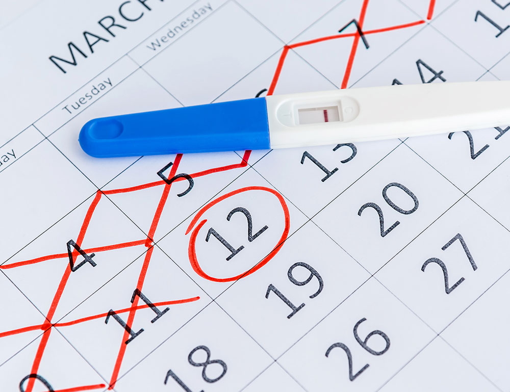 When Are Women Most Fertile? Getting Pregnant by Age & Cycle Date