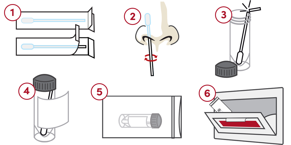Illustrated nasal swab test instructions steps 1 to 6