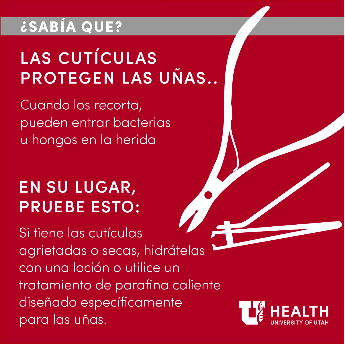 Spanish infographic cuticles