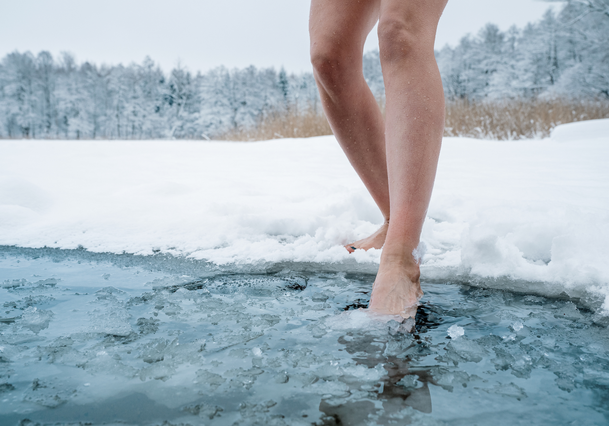 Cold Plunging and the Impact on Your Health