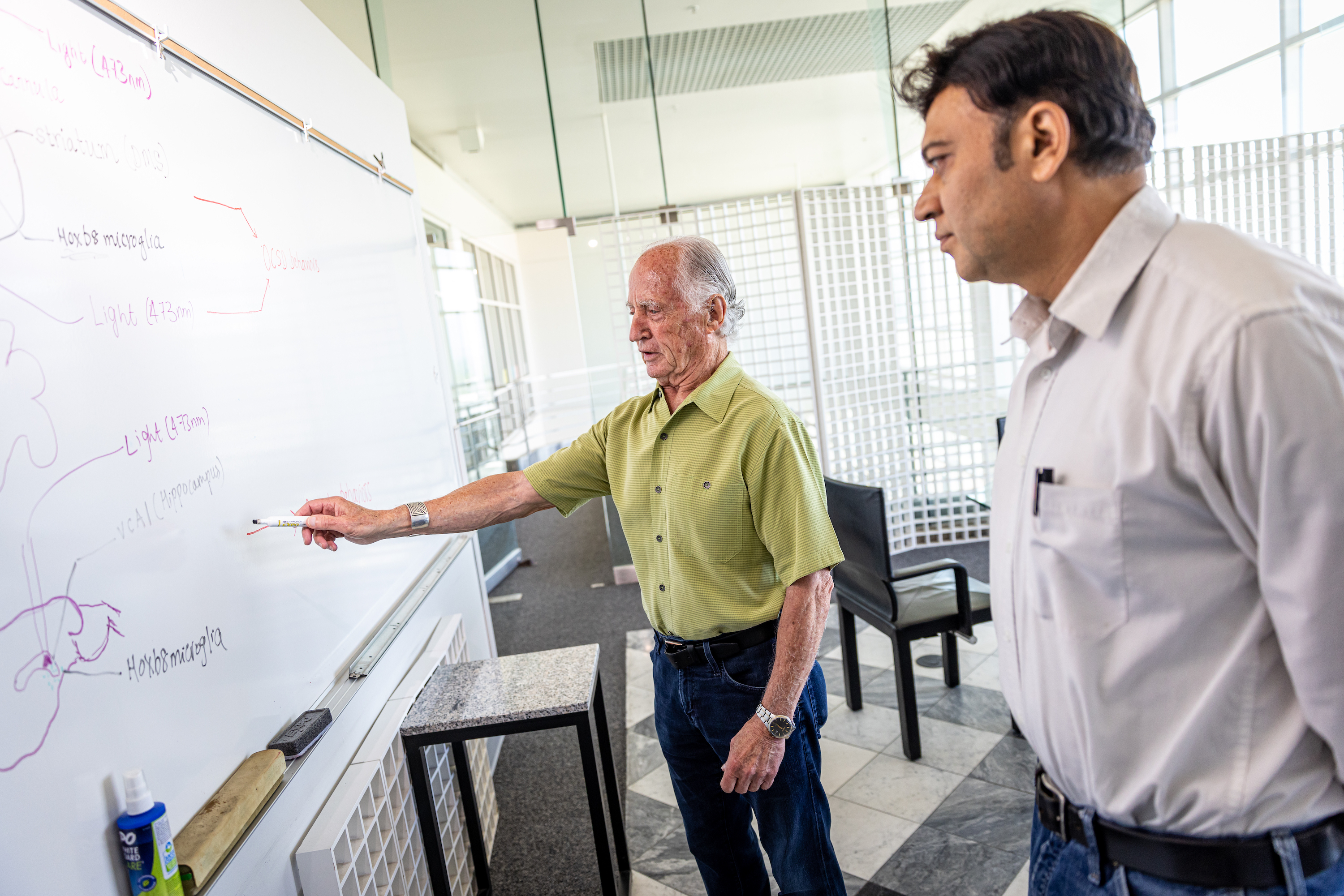 Distinguished Professor Mario Capecchi, Ph.D. and Naveen Nagarajan, Ph.D. writing on the white board.