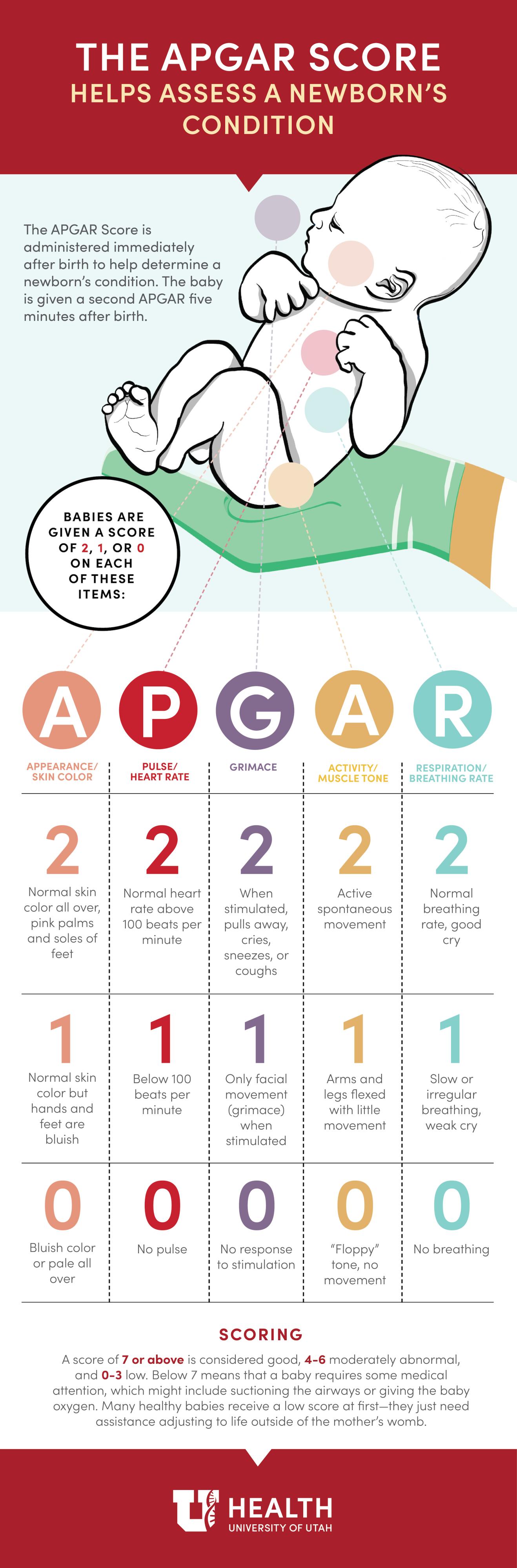 Babys First Assessment The Apgar Score University Of Utah Health