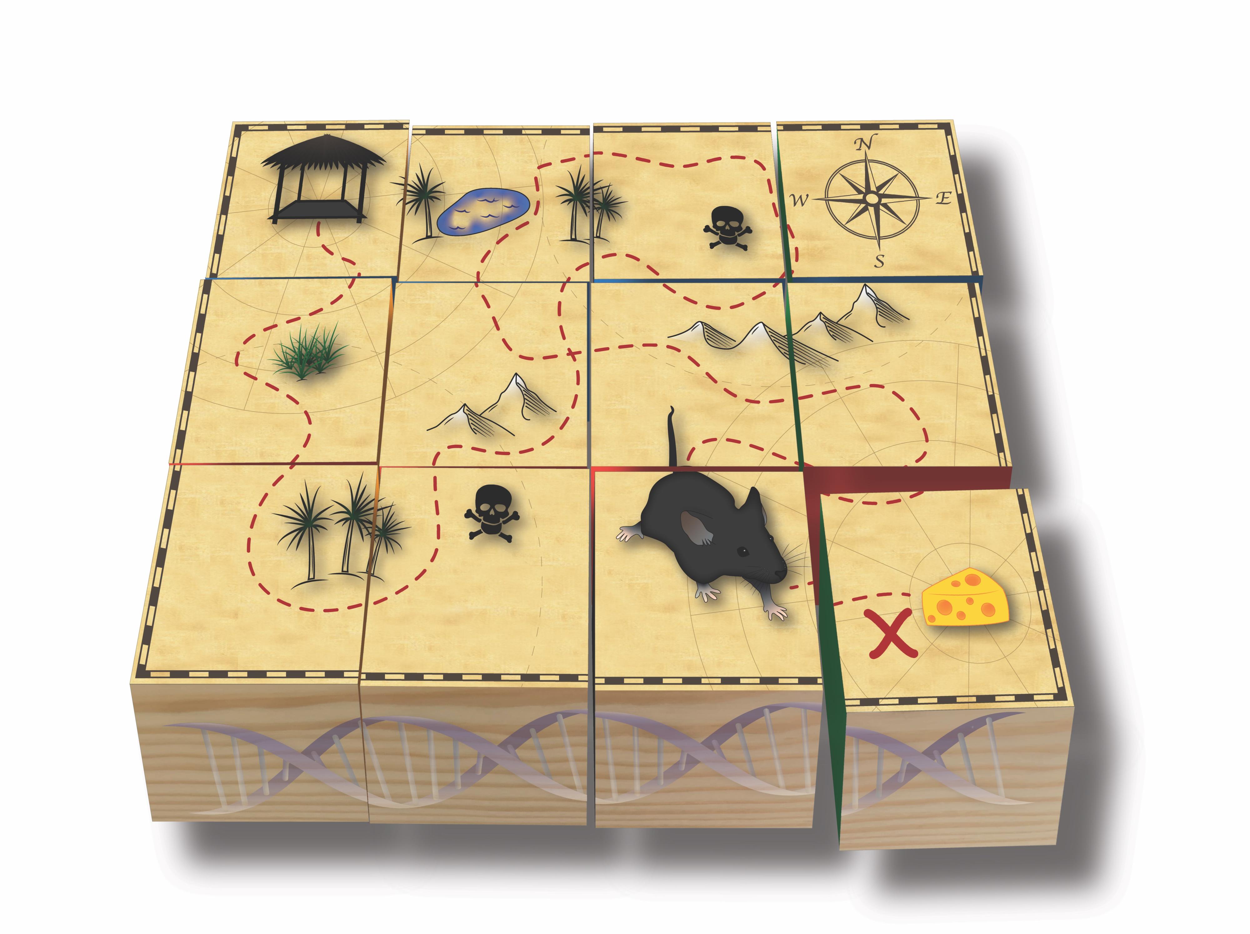 Building blocks with map and mouse walking towards cheese drawn on them