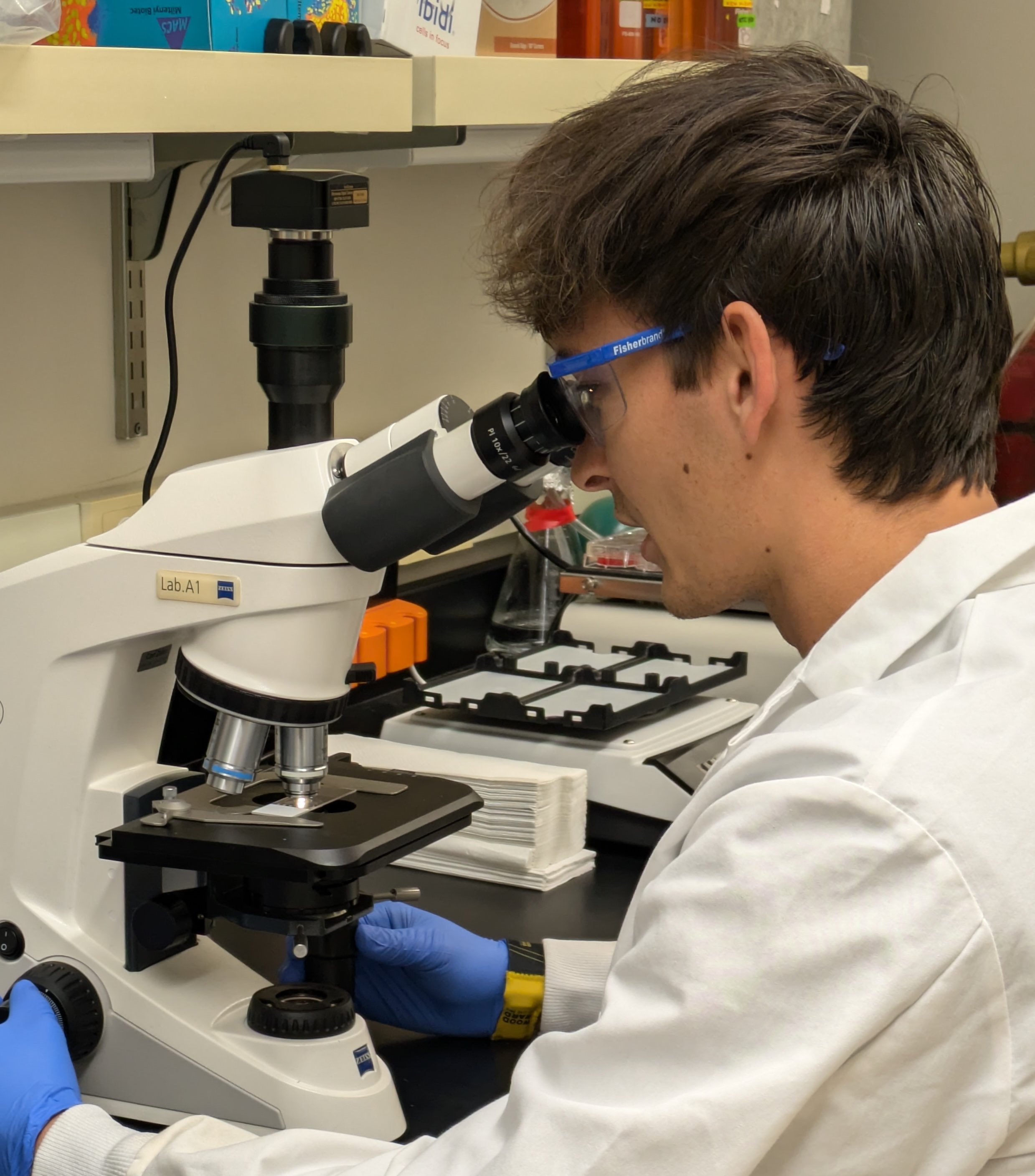 Person in a lab coat looks through a microscope.