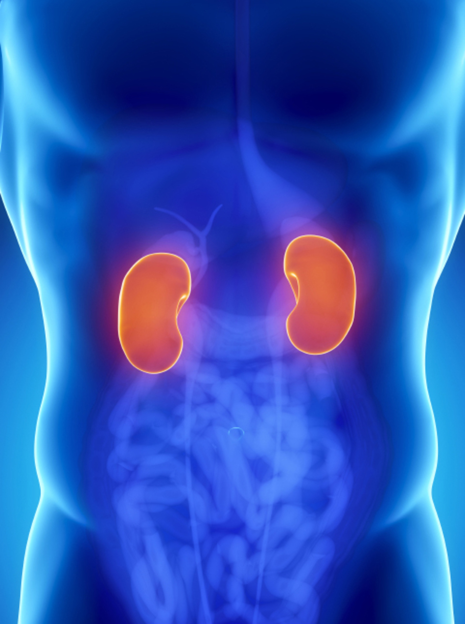 New Hope for Kidney Failure Patients with Hepatitis C