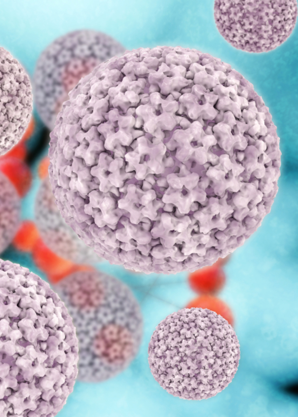 How Are HPV and Head and Neck Cancer Related?