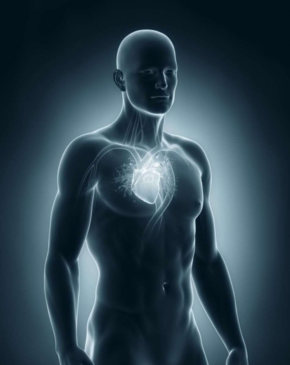 Understanding Heart Disease: Cardiomyopathy