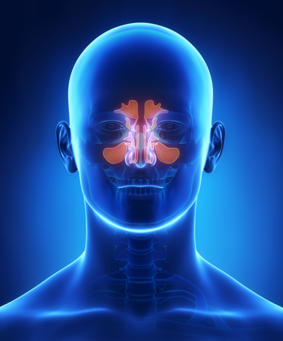 What is Endoscopic Sinus Surgery?