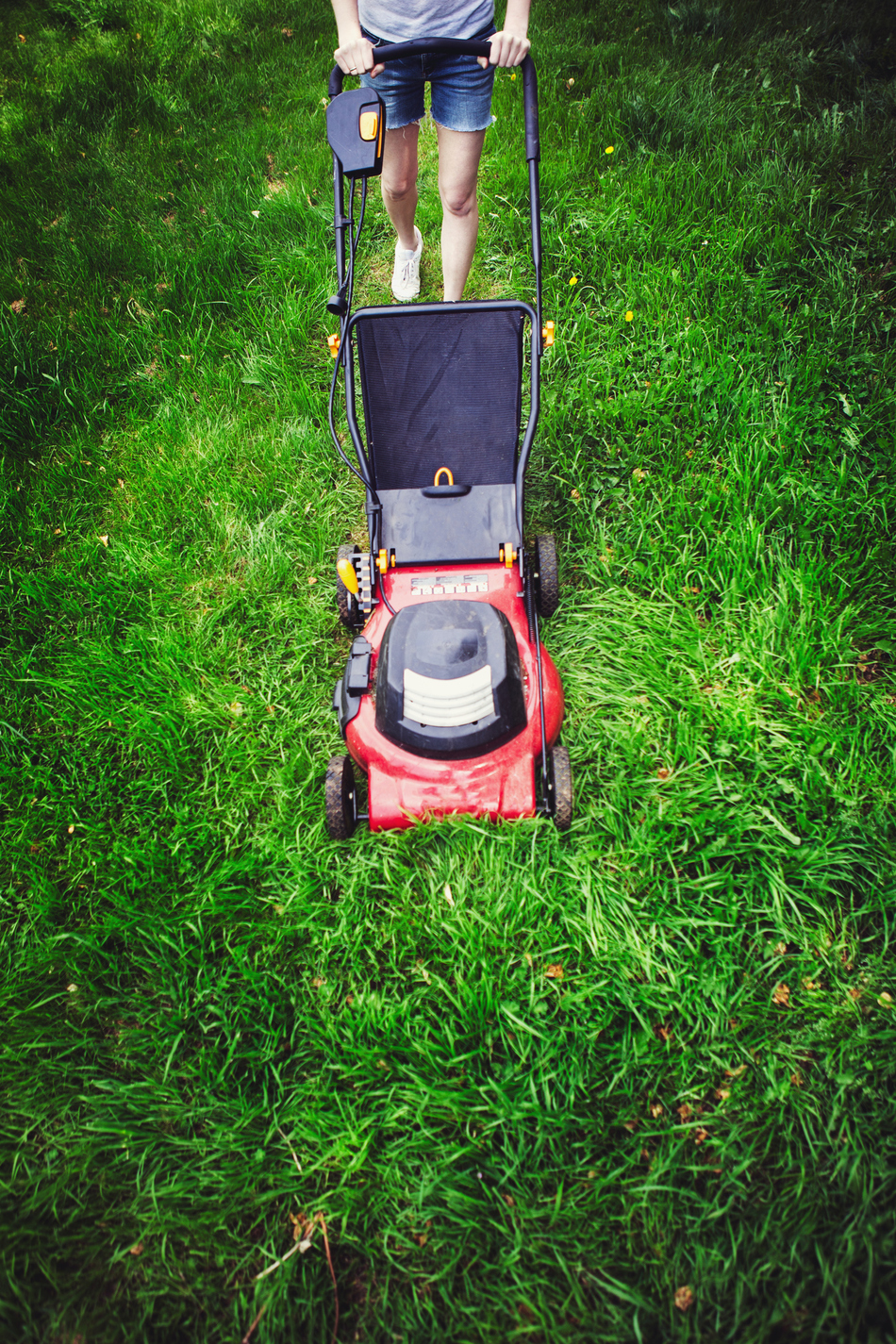 Safety Tips for Lawn Mowing