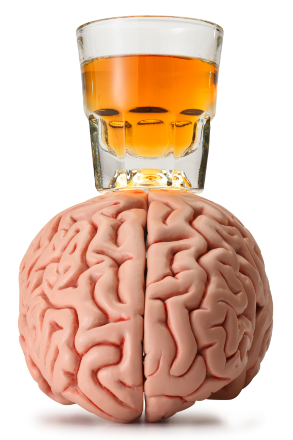 U of U Scientists Discover Brain Region Responsible for Resisting Alcohol’s Allure