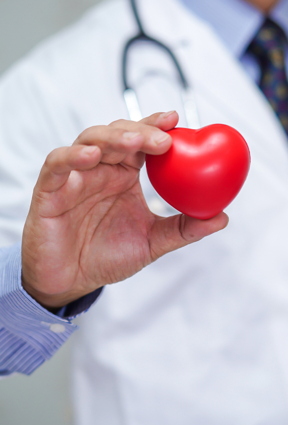 Seven Questions for a Cardiologist