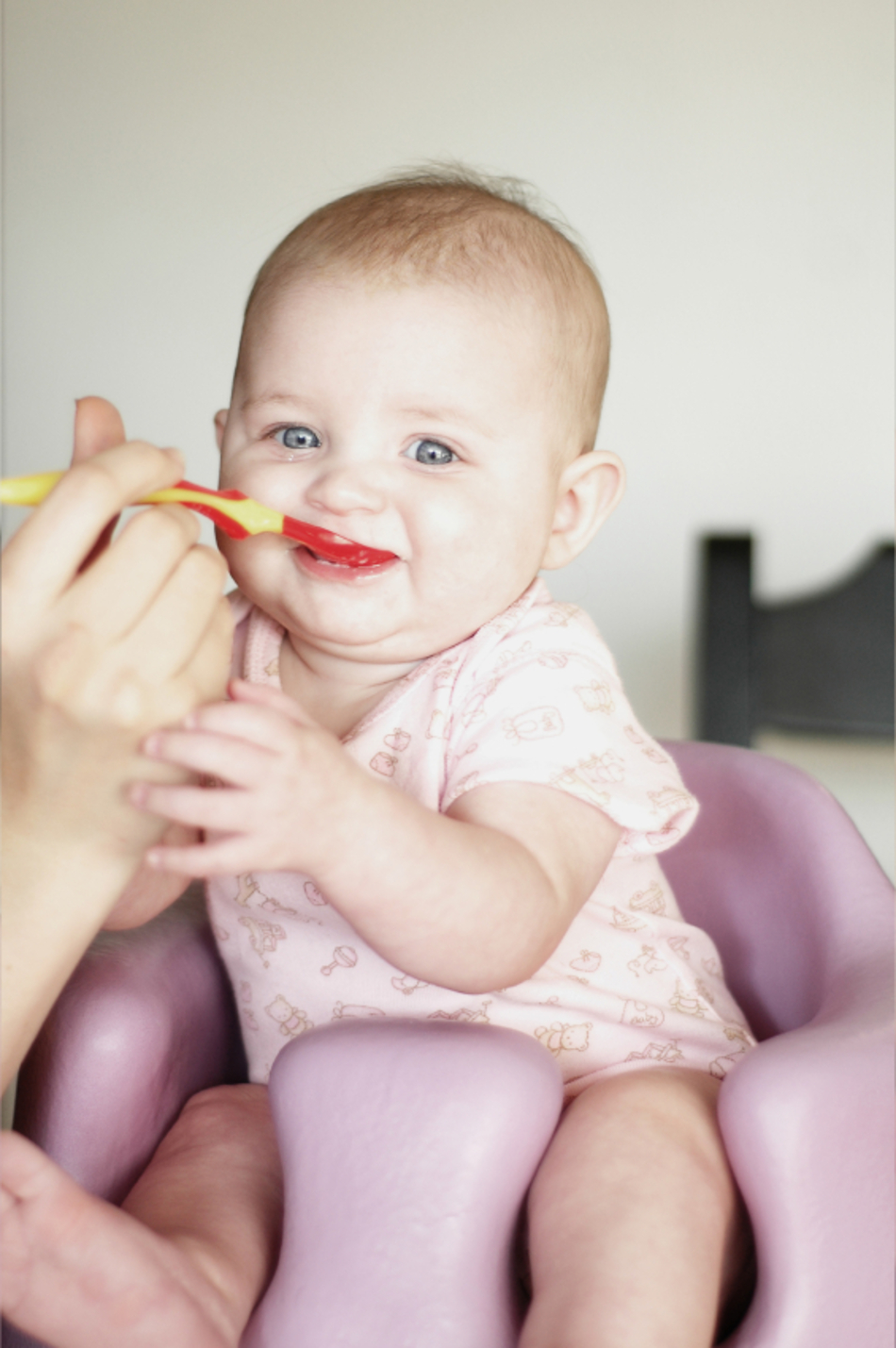 Baby Food Basics