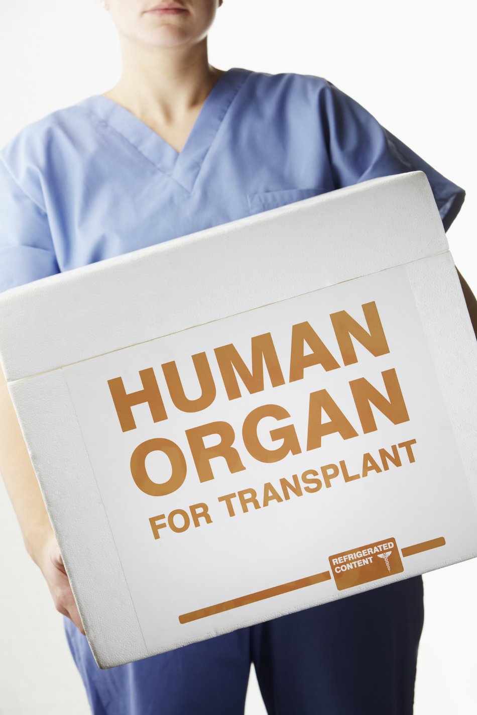 How Living Donor Liver Transplant Works
