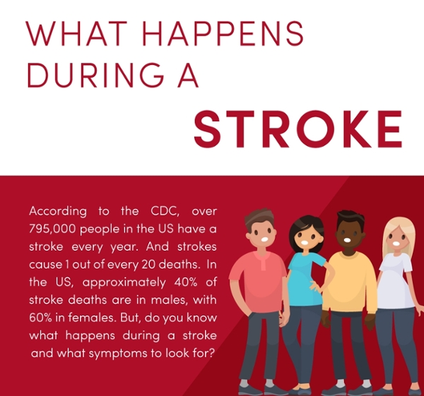 What Happens During a Stroke | University of Utah Health