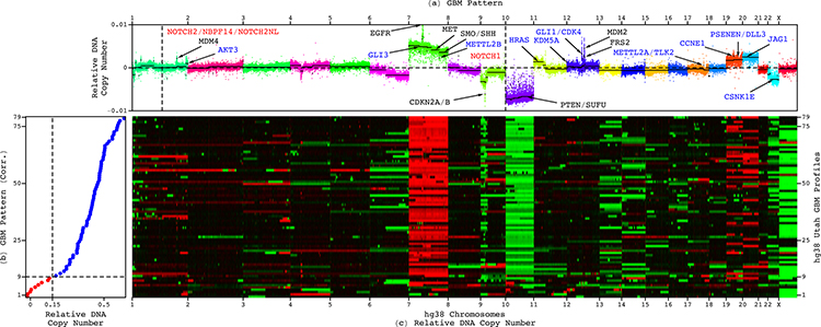 genome-wide patterns in tumors from glioblastoma patients