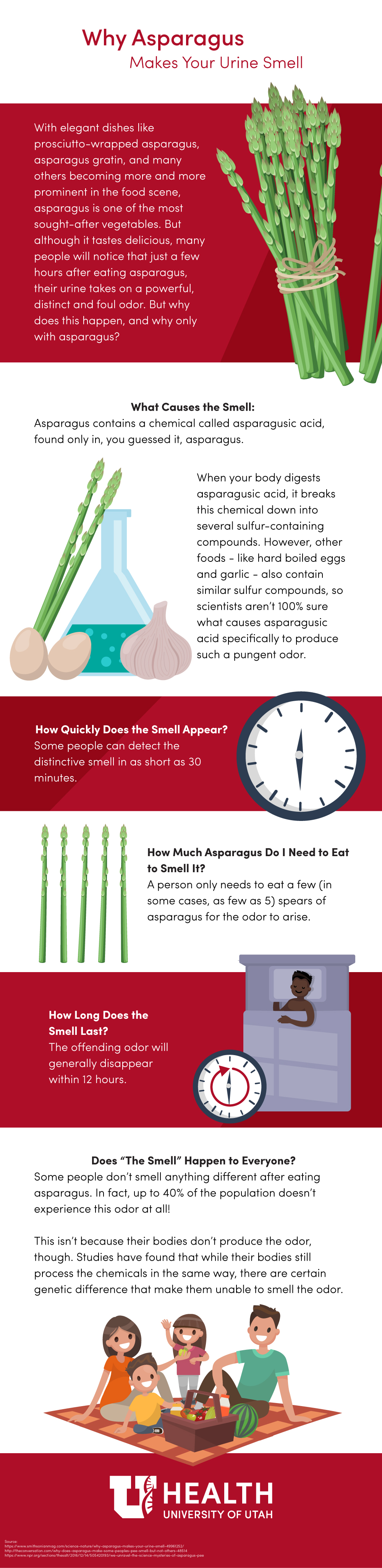 asparagus infographic