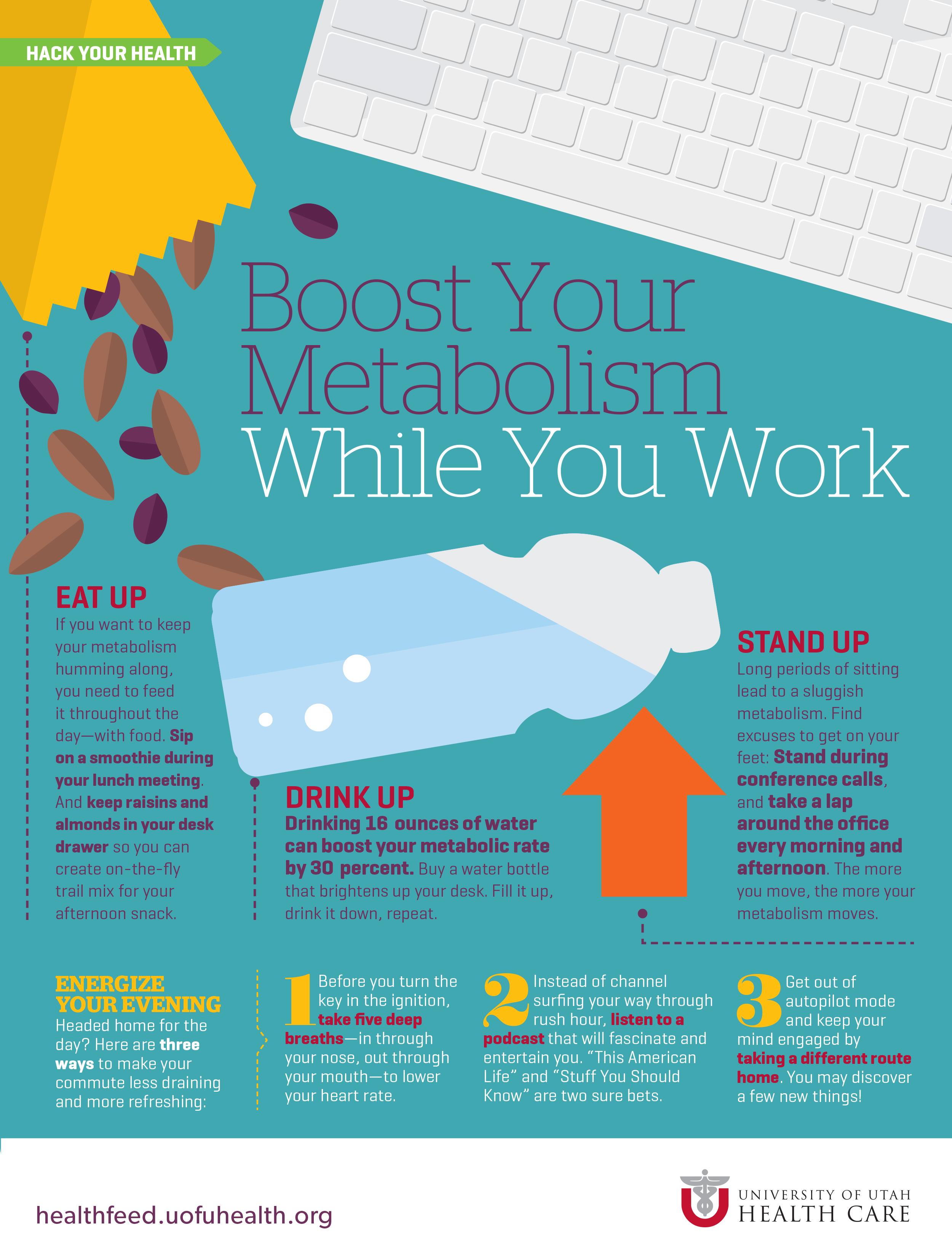 Metabolism Infographic