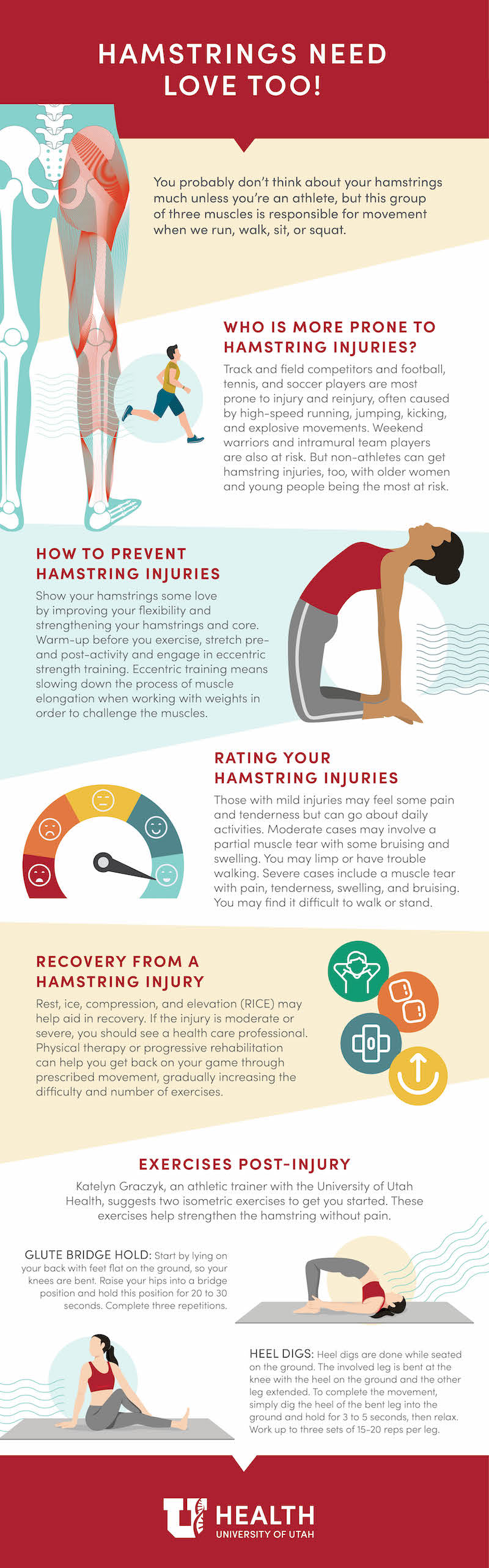 Hamstring Injury Infographic