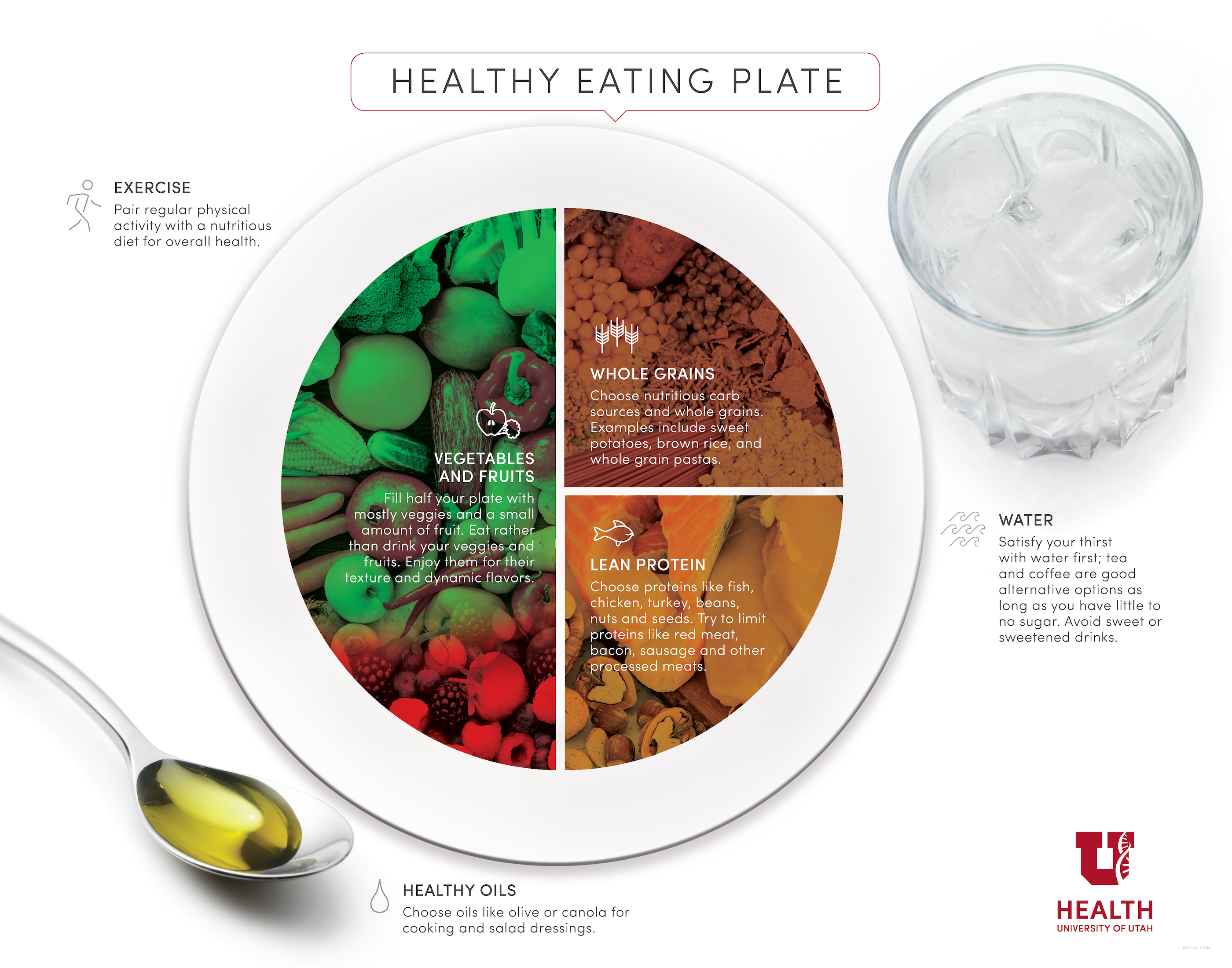 Healthy Food Plate