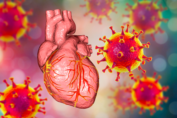 Illustration of heart with covid