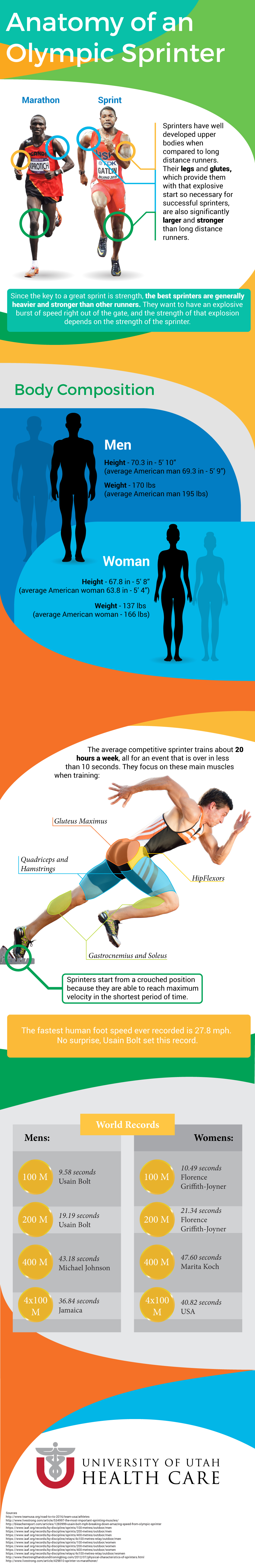 Sprinter Anatomy Infographic