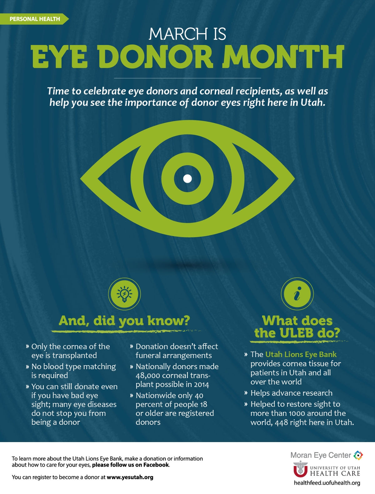 Eye Donor Infographic