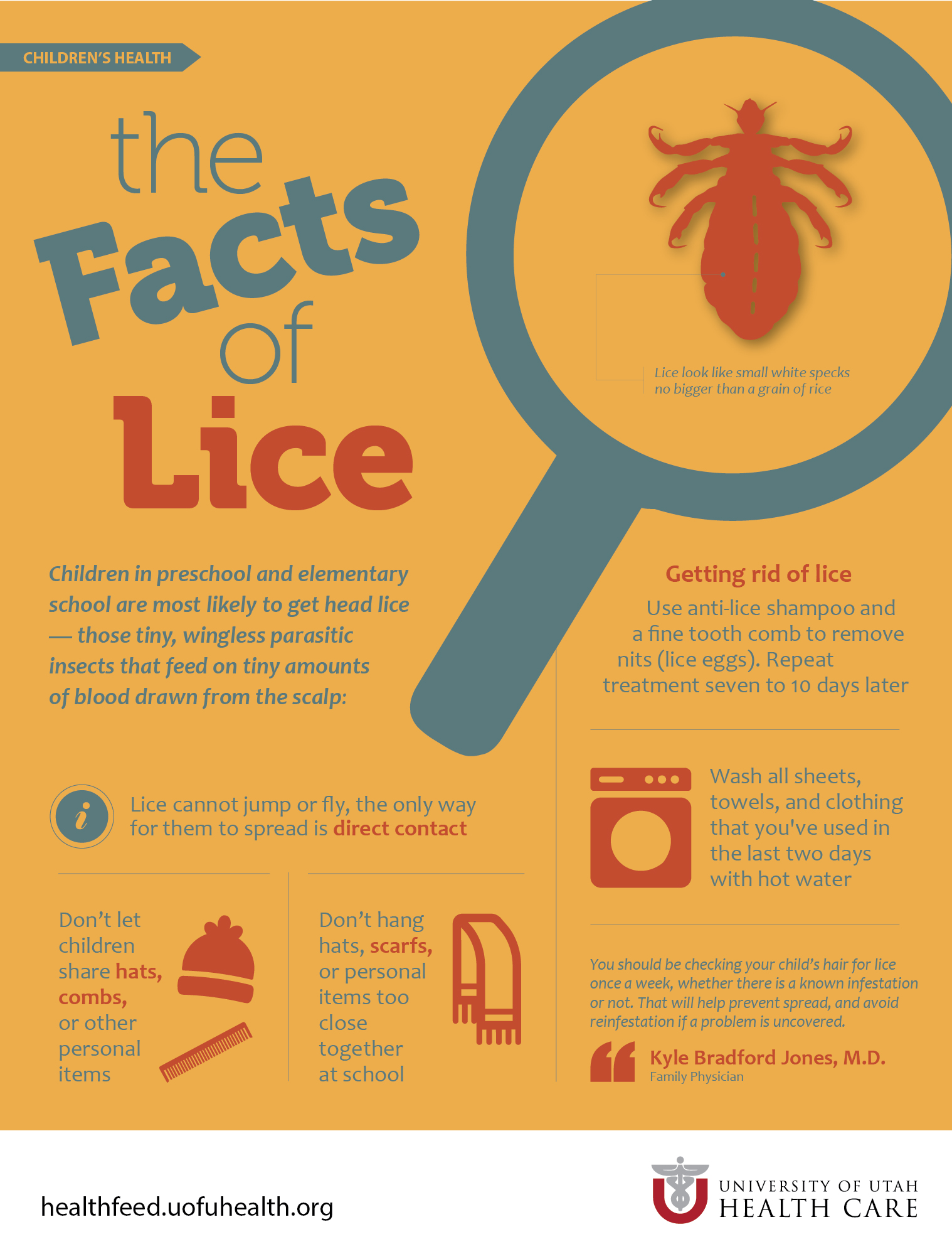 Head Lice Infographic
