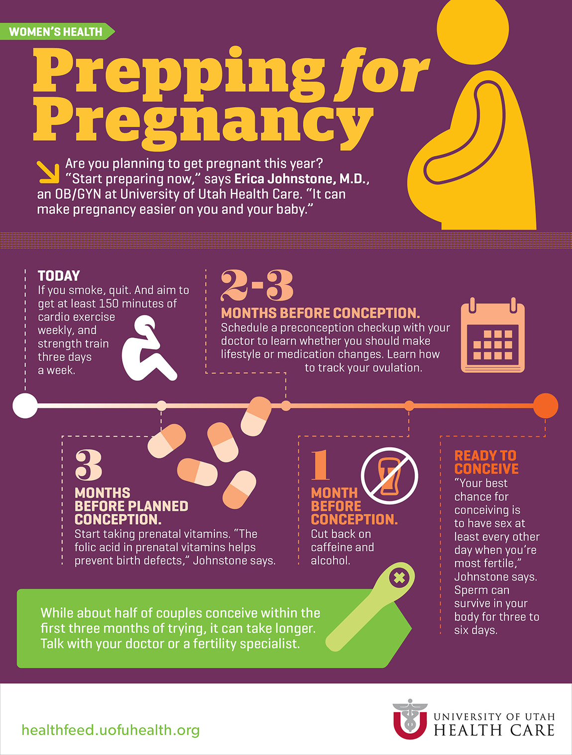 Infographic Preparing for Pregnancy