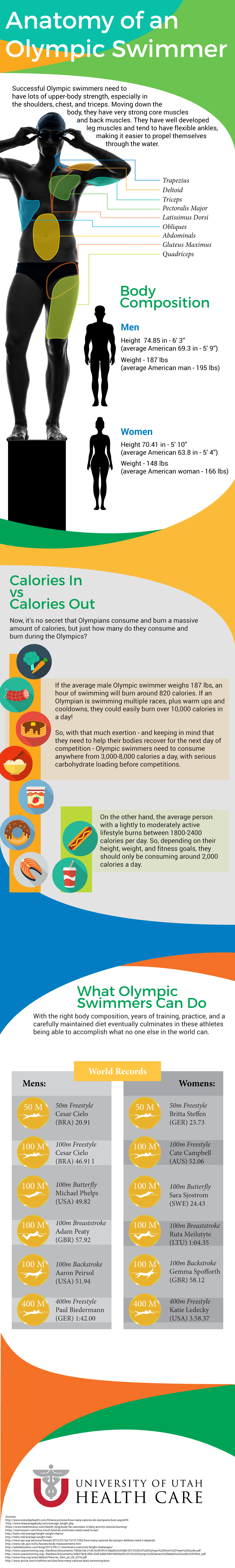 Swimmer Anatomy Infographic