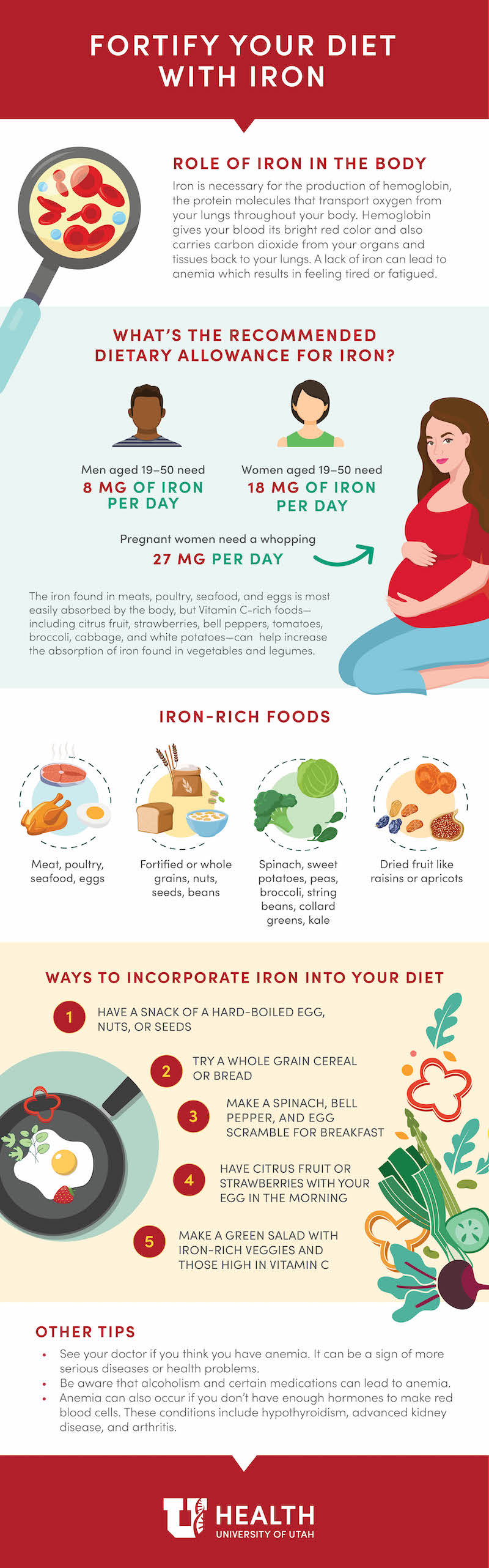 Iron Diet Infographic