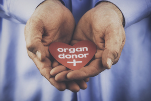 Organ Donor