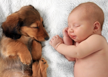 Pet and Baby Sleeping