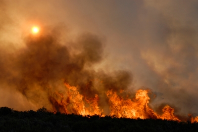 Wildfire Smoke