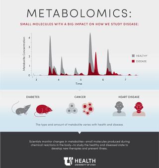 Metabolomics Infographic